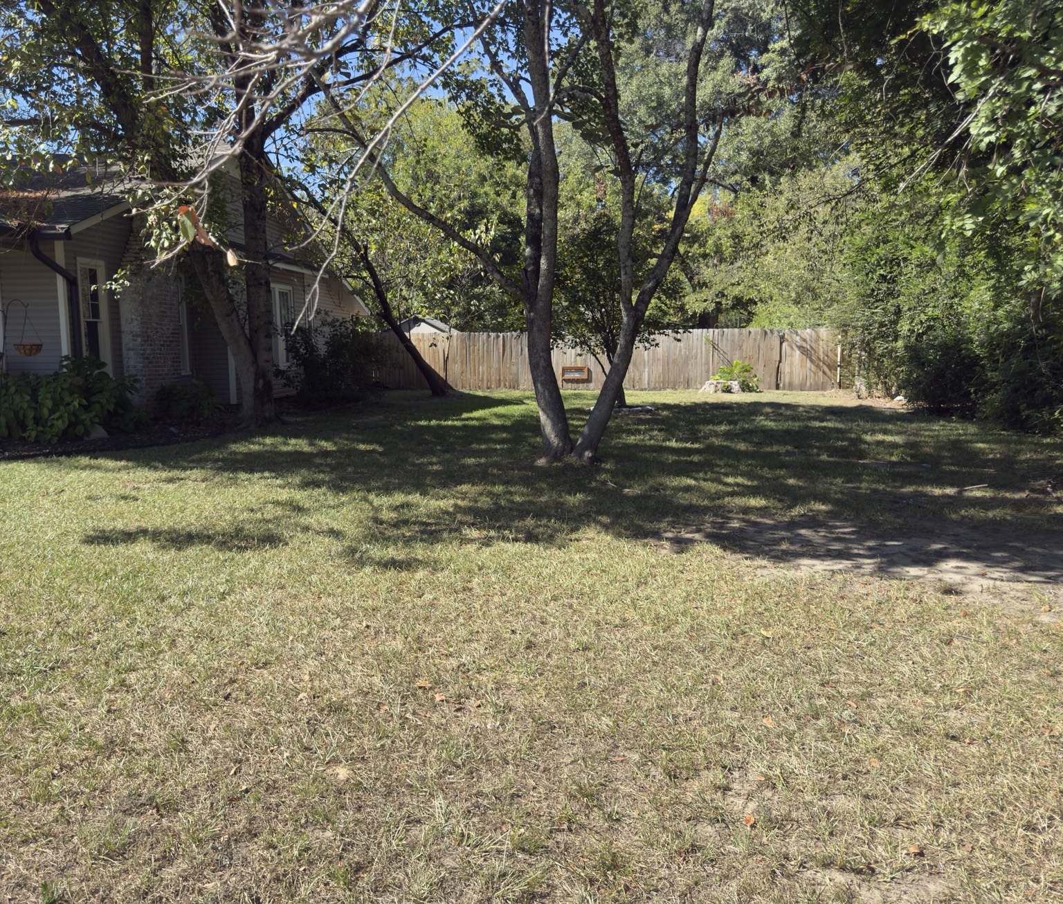 A residential yard after a completed Down To Earth Solutions leaf cleanup in the Tupelo area.
