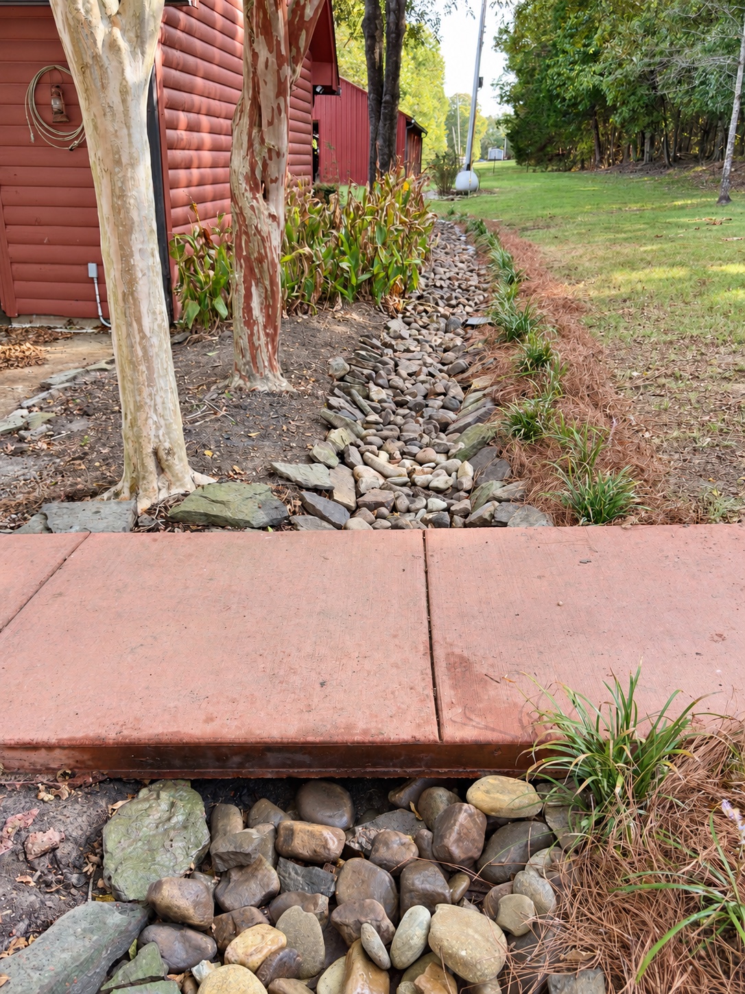 The same rock-lined drainage channel after landscape work, with a defined stone channel, pine-straw border, and green plants along the edge.